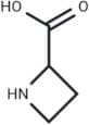 Azetidine-2-carboxylic acid