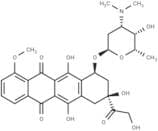 N,N-Dimethyldoxorubicin