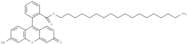 Fluorescein octadecyl ester