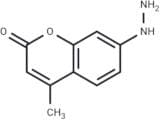 Coumarin hydrazine