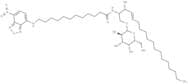 C12 NBD Galactosylceramide