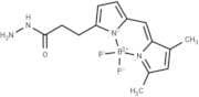 BODIPY FL hydrazide