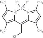 Bodipy 8-chloromethane
