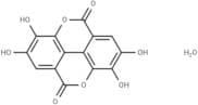 Ellagic acid (hydrate)