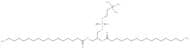 1,2-Diheptadecanoyl-sn-glycero-3-phosphorylcholine