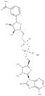 8-bromo NAD+ sodium