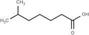 6-Methylheptanoic acid