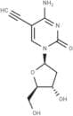 5'-Ethynyl-2'-deoxycytidine