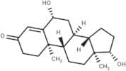 6β-hydroxy Testosterone