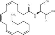 N-Arachidonoyl-L-Serine
