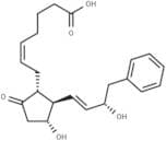 16-phenyl tetranor Prostaglandin E2