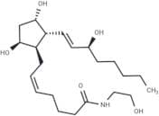 11β-Prostaglandin F2α Ethanolamide