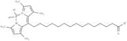 BODIPY-Palmitate