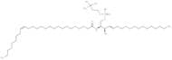 C26:1 Sphingomyelin (d18:1/26:1(17Z))