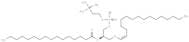 1-1(Z)-Hexadecenyl-2-Palmitoyl-sn-glycero-3-PC
