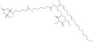 C6 Biotin Glucosylceramide (d18:1/6:0)