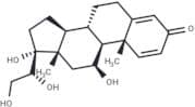20α-dihydro Prednisolone