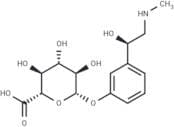 Phenylephrine Glucuronide