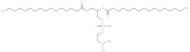 1,2-Dipalmitoyl-sn-glycero-3-N,N-dimethyl-PE