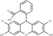 2,7-Dichlorodihydrofluorescein