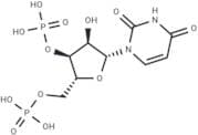 Uridine 3',5'-diphosphate