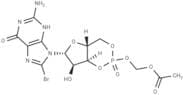 8-Br-cGMP-AM