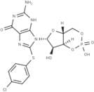 8-Pcpt-cGMP