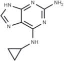 2-Amino-6-cyclopropylamino-9H-purine