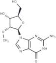 2'-OMe-Guanosine