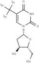 Thymidine-D3