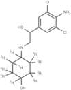Clencyclohexerol-d10