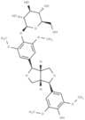 Episyringaresinol 4'-O-β-D-glncopyranoside