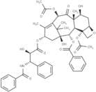 Paclitaxel (Standard)