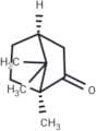 (-)-CAMPHOR (Standard)