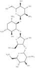 Neomycin F