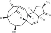 Macquarimicin A