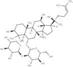 20(R)-Notoginsenoside R2