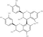 Procyanidin B3