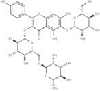 6-Hydroxykaempferol 3-Rutinoside -6-glucoside