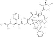 7-Xylosyl-10-deacetyltaxol B