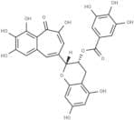 Epitheaflagallin 3-O-gallate