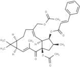 Euphorbia factor L7a