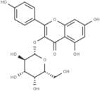 Kaempferol 3-O-β-D-galactopyranoside