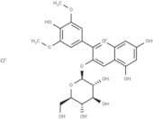 Malvidin-3-glucoside chloride