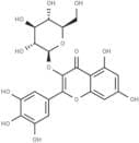 Myricetin 3-O-glucoside