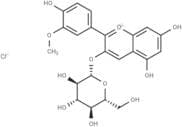 Peonidin-3-O-glucoside chloride