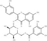 Quercetin 3-O-(6''-O-galloyl)-β-D-glucoside