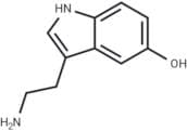 Serotonin