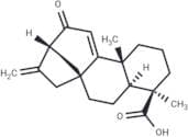 12-Oxograndiflorenic acid