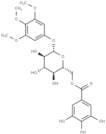 3,4,5-Trimethoxyphenyl-(6-O-galloyl)-O-β-D-glucopyranoside